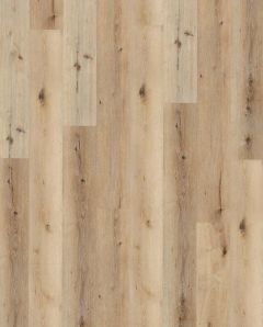 Wunderwerk Vinyl NK 31 Eiche Avignon, Landhausdiele 4V