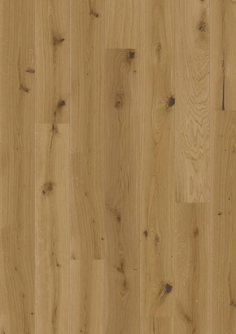 \\sw-ag\AllgeierSchoedel\Bilder Onlineshop\Tilo ( schon Bearb. )\Parkett\43070100_1000113_FBD-lpr_MARCANTO TREND Eiche Natur_1.jpg