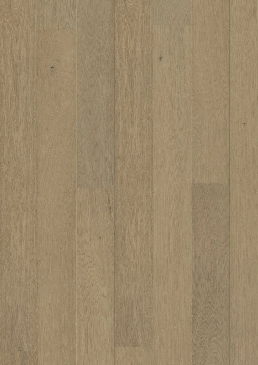 Landhausdiele Tilo, 2 V, Art. 100013301