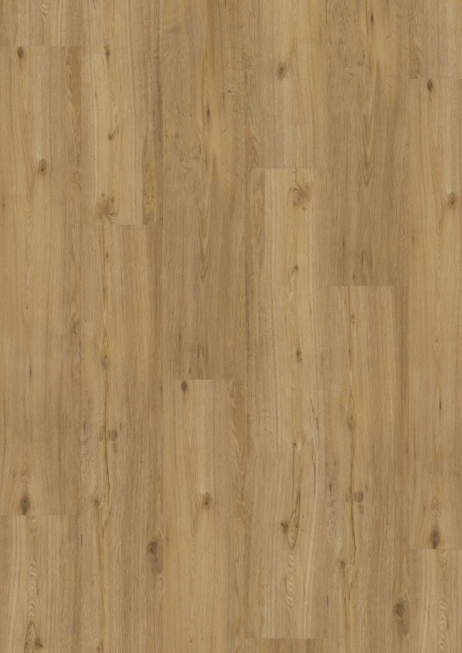 9,8 mm tilo Vinylboden "Eiche Nox"
