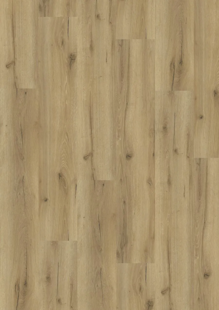 \\sw-ag\AllgeierSchoedel\Bilder Onlineshop\Tilo ( schon Bearb. )\Vinyl\47050178_1000015_FBD-original_NOVO Eiche Sand_1.jpg