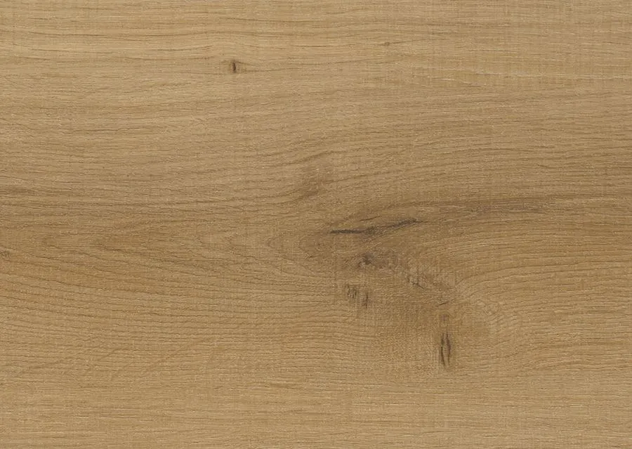 \\sw-ag\AllgeierSchoedel\Bilder Onlineshop\Zipse Ziro\47050311_026013912_Japaneiche_dek.jpg