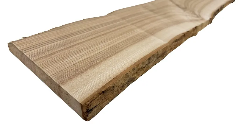 \\SW-AG\AllgeierSchoedel\Bilder Onlineshop\Stammware\Esche.jpg