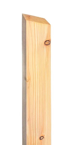 \\SW-AG\AllgeierSchoedel\Bilder Onlineshop\Gartenbau\Bilder neu\brettlatte_l&auml;rche_1.jpg