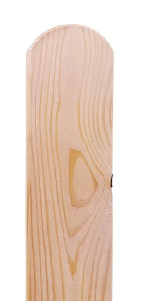 Zaunbretter, L&auml;rche, 21 x 95 x 1000 mm