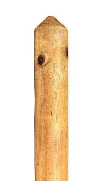 \\SW-AG\AllgeierSchoedel\Bilder Onlineshop\Gartenbau\Bilder neu\stakete_kdi_1.jpg