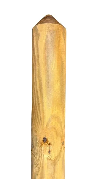 \\SW-AG\AllgeierSchoedel\Bilder Onlineshop\Gartenbau\Bilder neu\stakete_kdi_3.jpg
