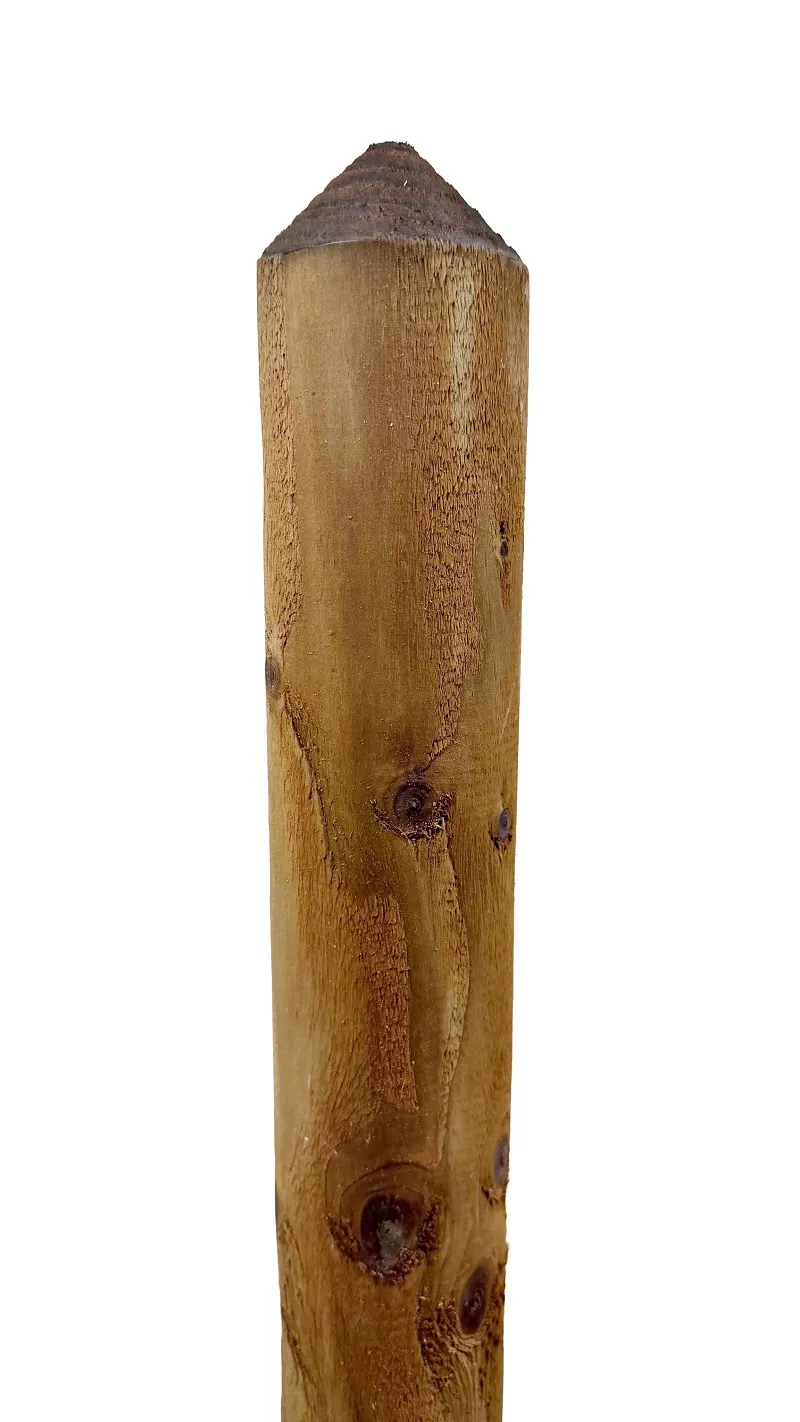 \\SW-AG\AllgeierSchoedel\Bilder Onlineshop\Gartenbau\Stakete.jpg