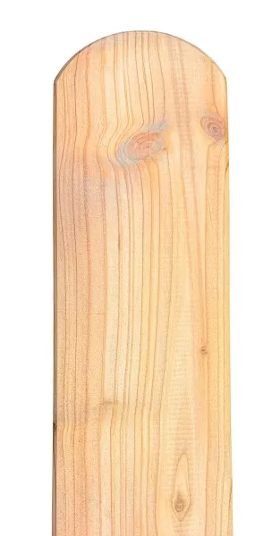 Zaunbretter, L&auml;rche, 21 x 95 x 1250 mm
