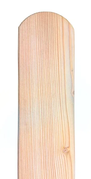 Zaunbretter, L&auml;rche, 21 x 95 x 1500 mm