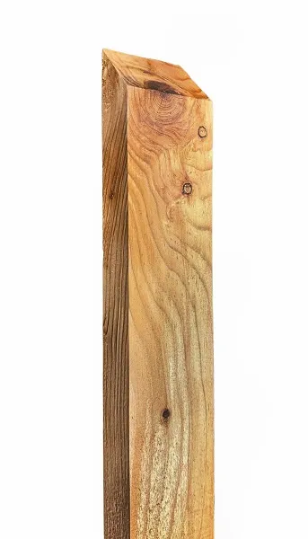 \\SW-AG\AllgeierSchoedel\Bilder Onlineshop\Gartenbau\Bilder neu\brettlatte_kdi_1.jpg