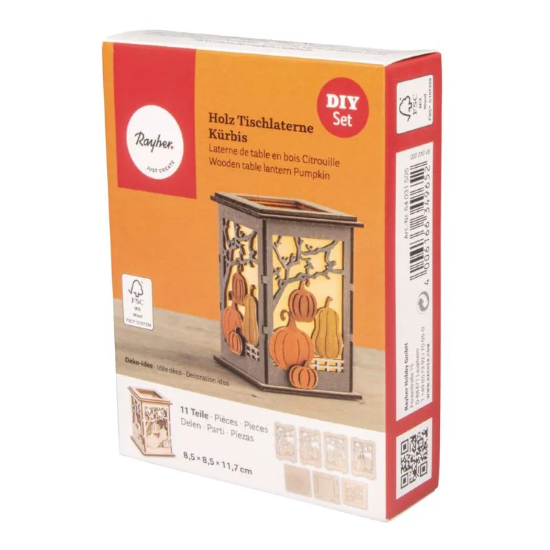 \\sw-ag\AllgeierSchoedel\Bilder Onlineshop\Kreativmarkt\Rayher\64031505_Tischlaterne K&uuml;rbis_1.jpg