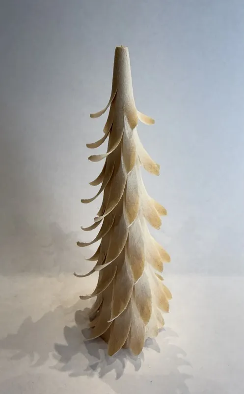 Spiralbaum natur - H&ouml;he: 9 cm