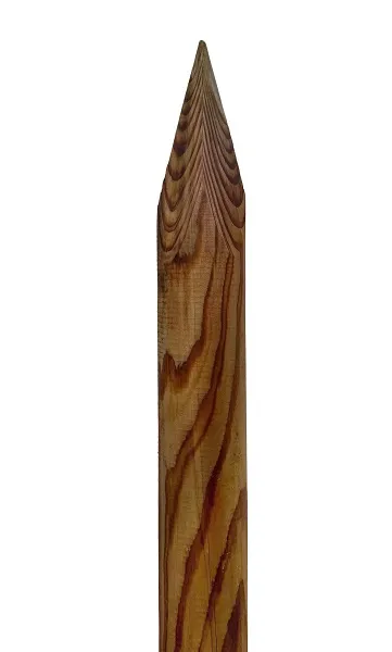 \\SW-AG\AllgeierSchoedel\Bilder Onlineshop\Bilder_HSH_18.02\RH_80er_spitze.jpg